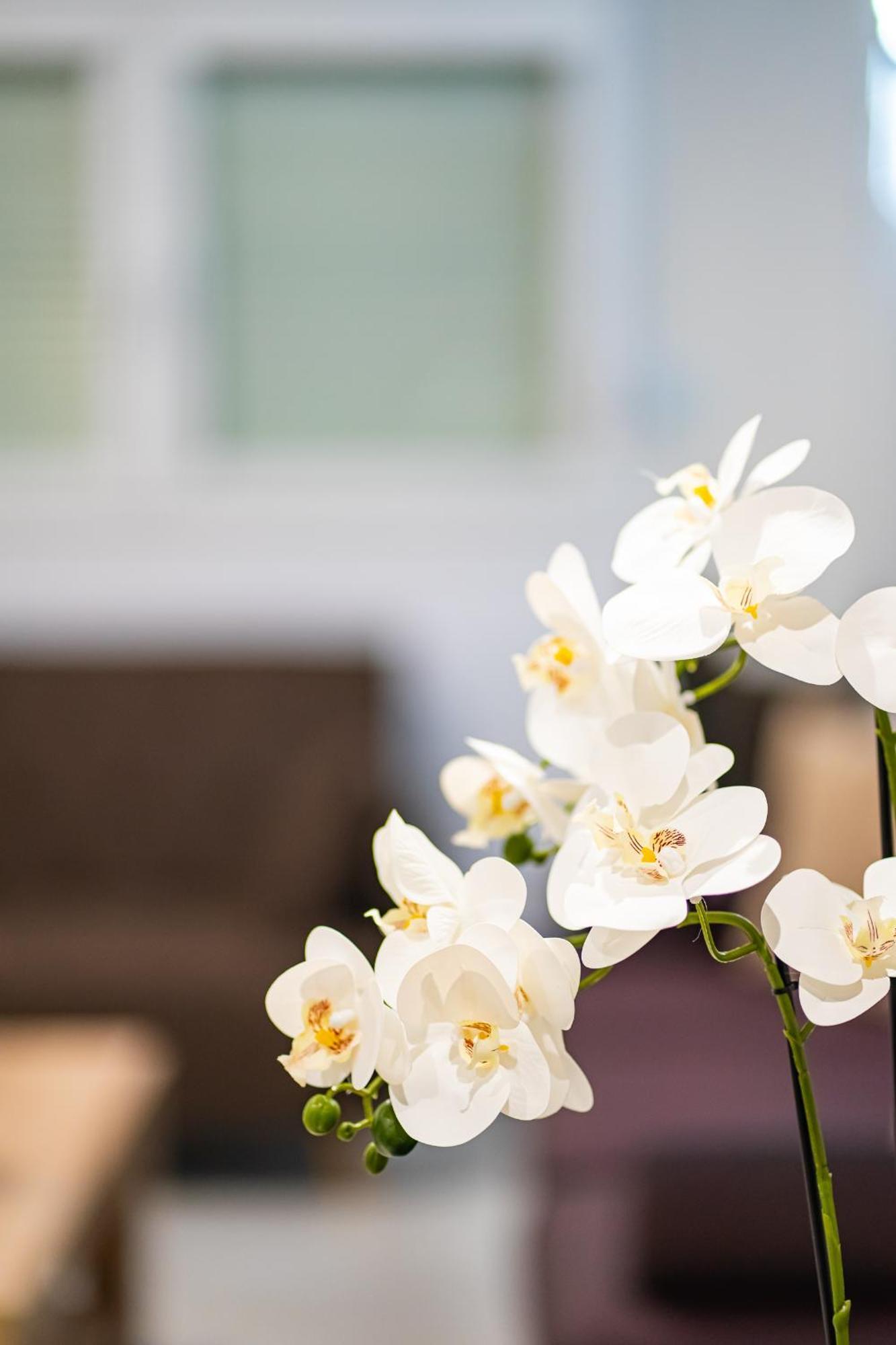 Feel Greek Hospitality #Θ005 Leilighet Thessaloníki Eksteriør bilde